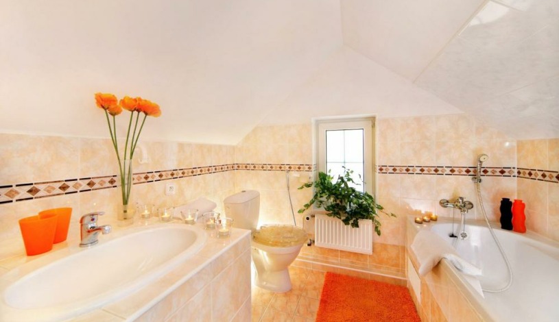 Pension Monika + Apartments Špindlerův Mlýn